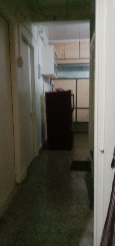 1RK · Semi Furnished · Apartment