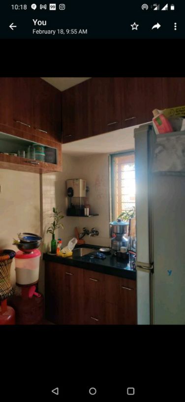1RK · Furnished · Apartment
