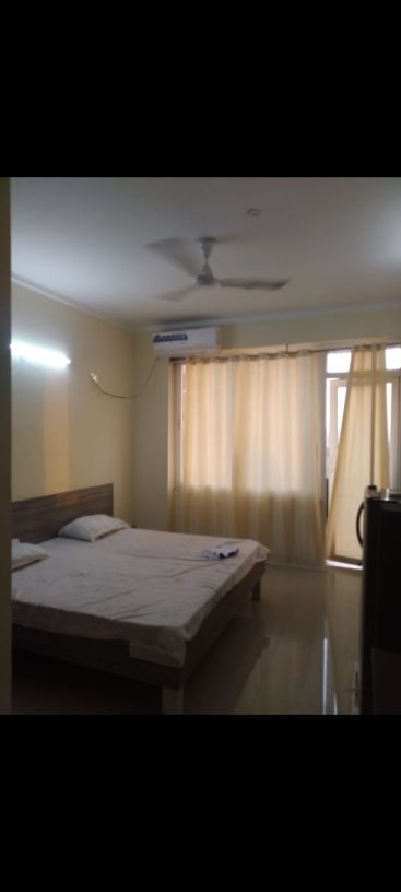 1RK · Furnished · Apartment