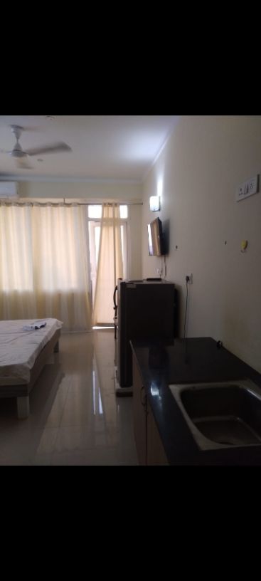 1RK · Furnished · Apartment