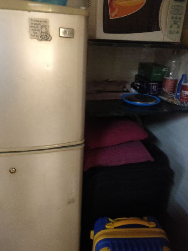 1RK · Furnished · Apartment