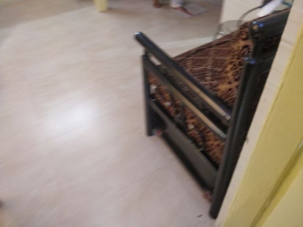 1RK · Furnished · Apartment