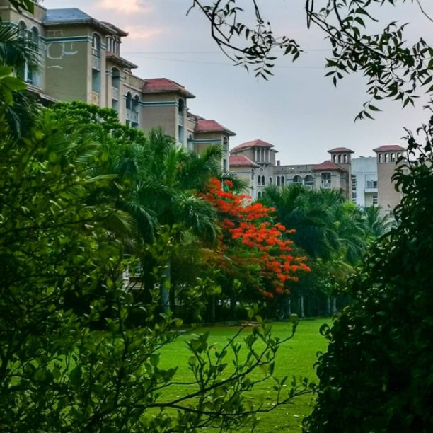 2BHK · Furnished · Apartment