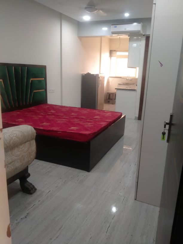1RK · Furnished · Apartment