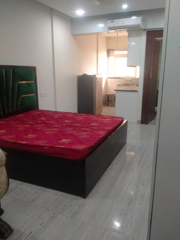 1RK · Furnished · Apartment