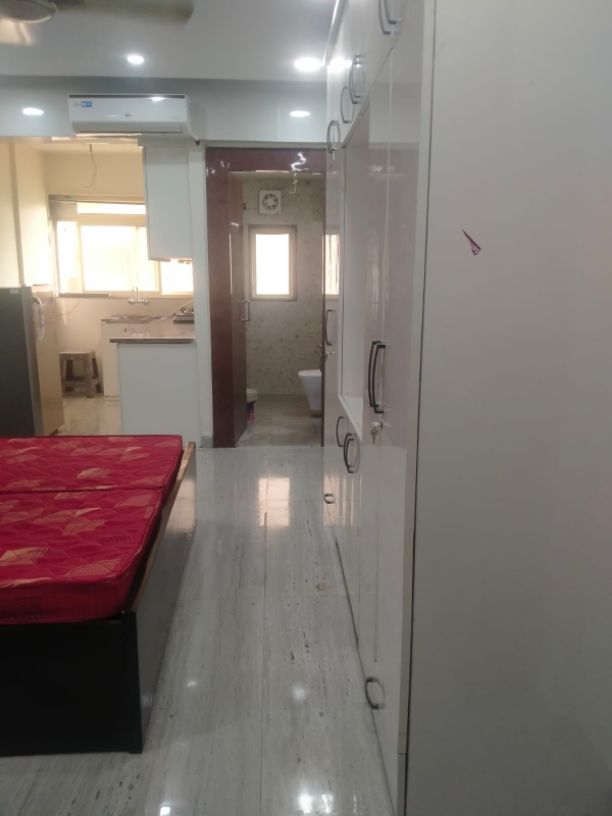 1RK · Furnished · Apartment