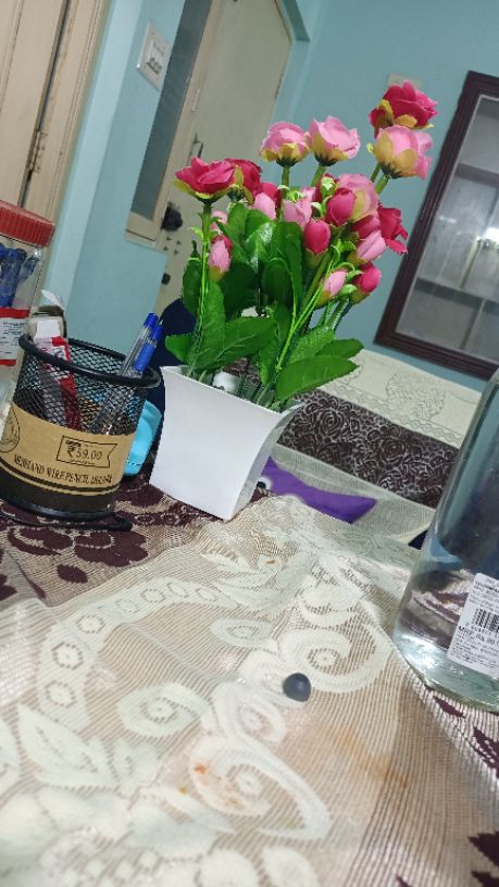 2BHK · Furnished · Apartment