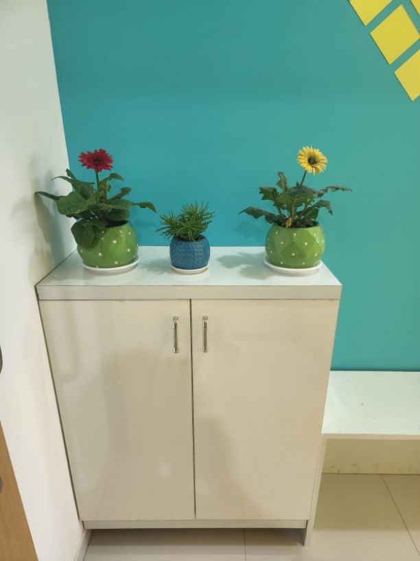 2BHK · Furnished · Apartment