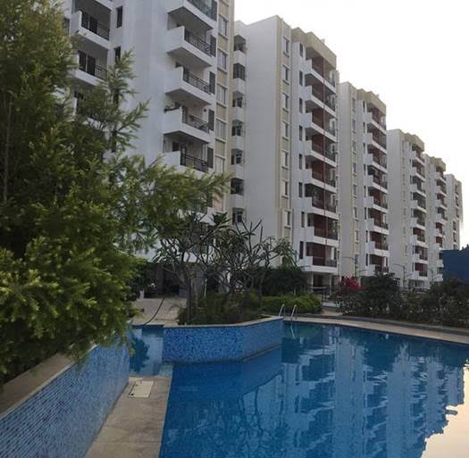 1BHK · Furnished · Apartment