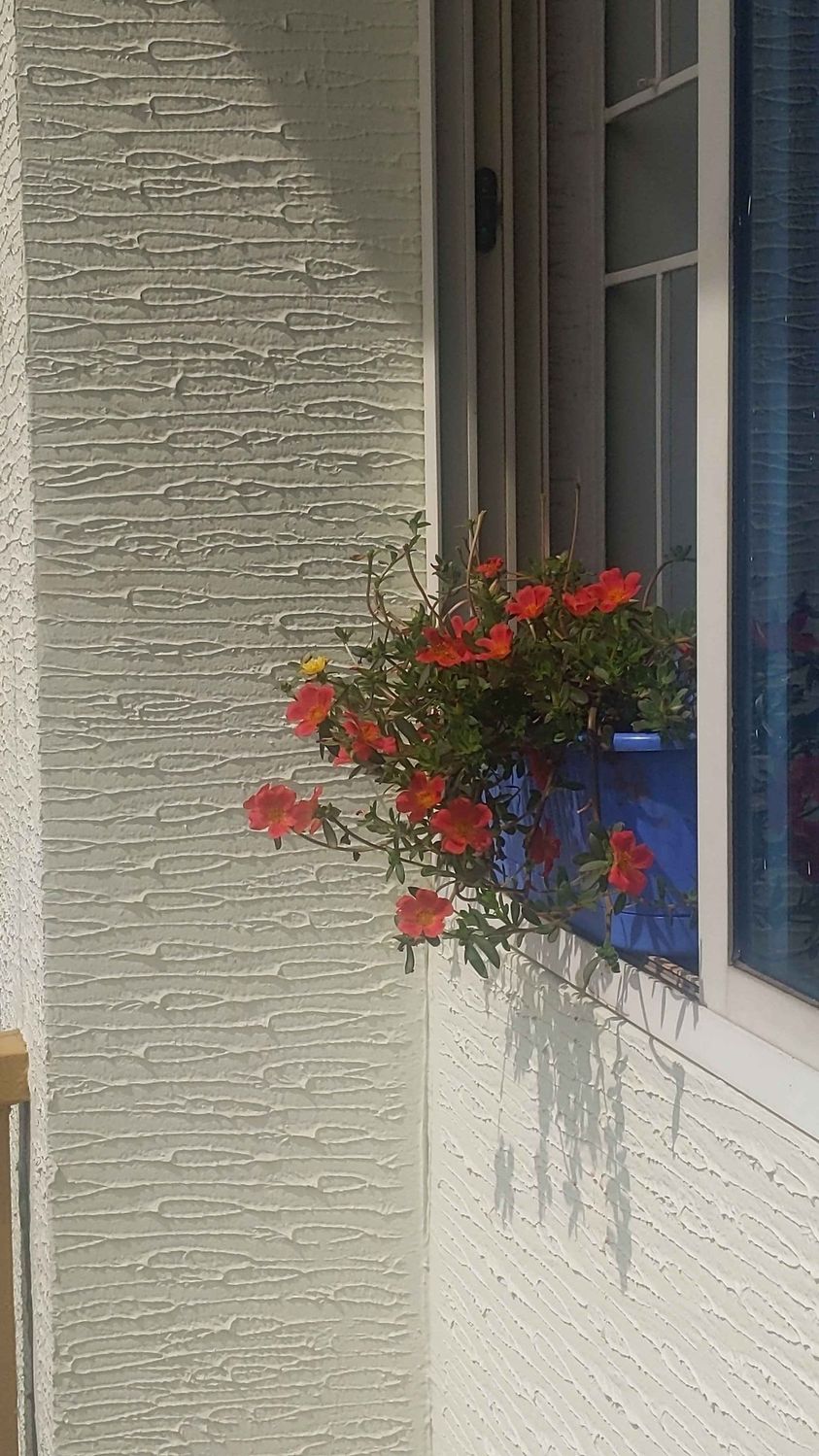 2BHK · Furnished · Apartment