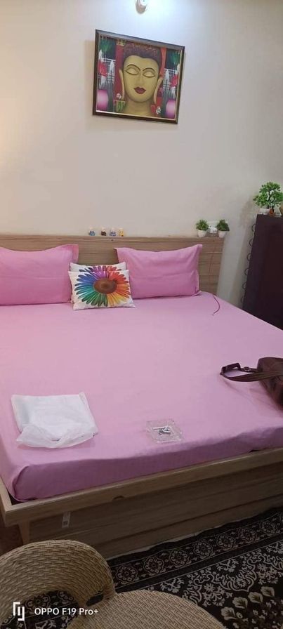 1RK · Furnished · Apartment