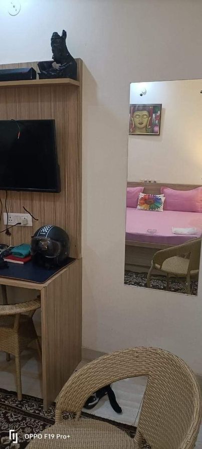 1RK · Furnished · Apartment