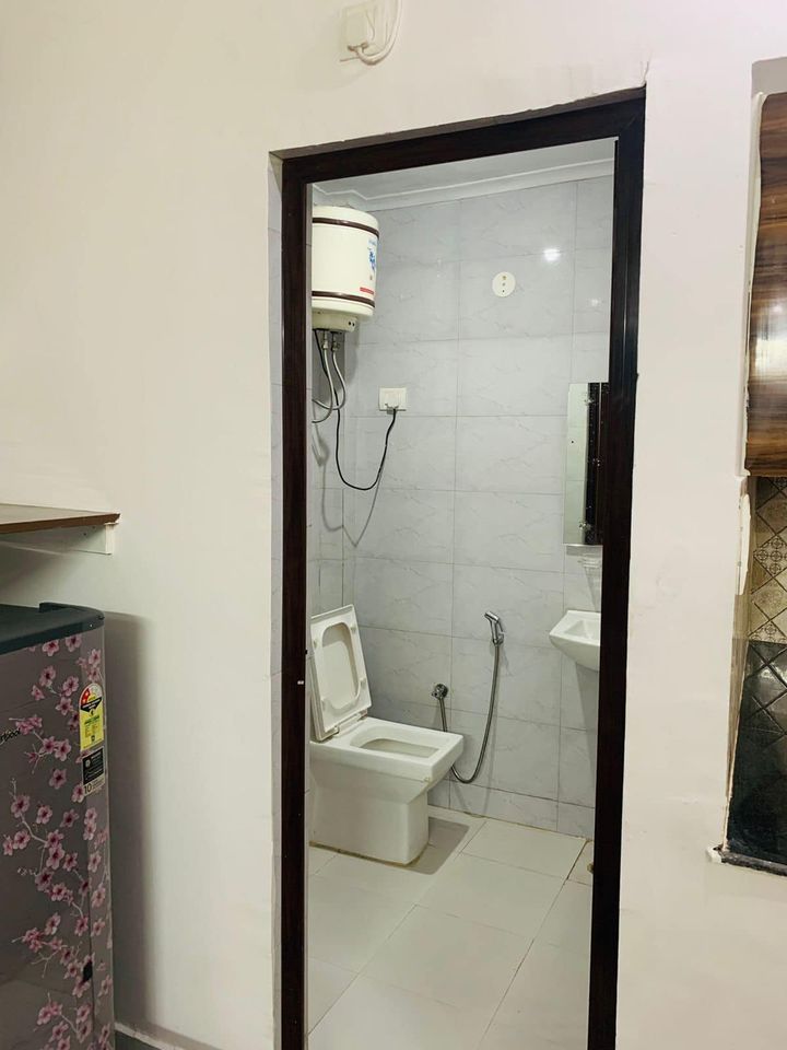 1RK · Furnished · Apartment
