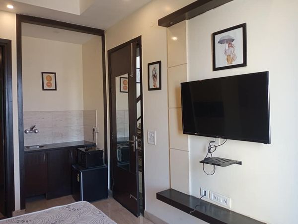 1RK · Furnished · Apartment