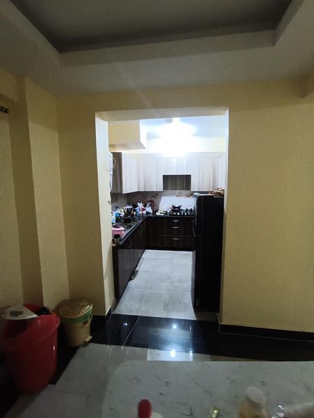 1RK · Furnished · Apartment