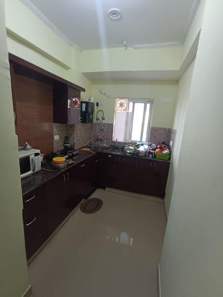 1RK · Furnished · Apartment