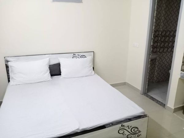 1RK · Furnished · Apartment