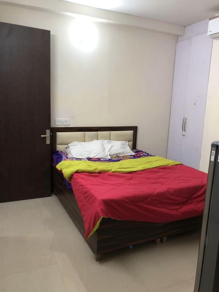 1RK · Furnished · Apartment