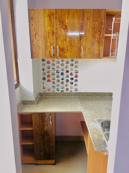 1RK · Furnished · Apartment