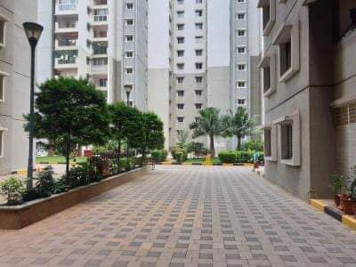 3BHK · Furnished · Apartment