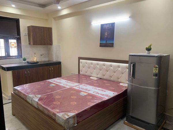 1RK · Furnished · Apartment
