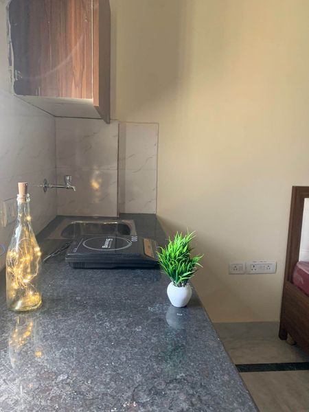 1RK · Furnished · Apartment