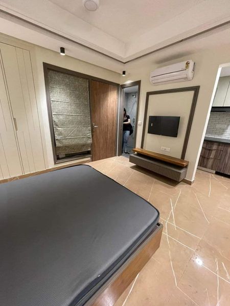 1RK · Furnished · Apartment