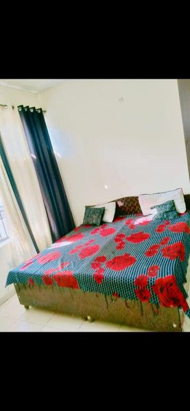 1RK · Furnished · Apartment