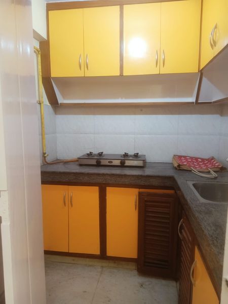 1RK · Furnished · Apartment