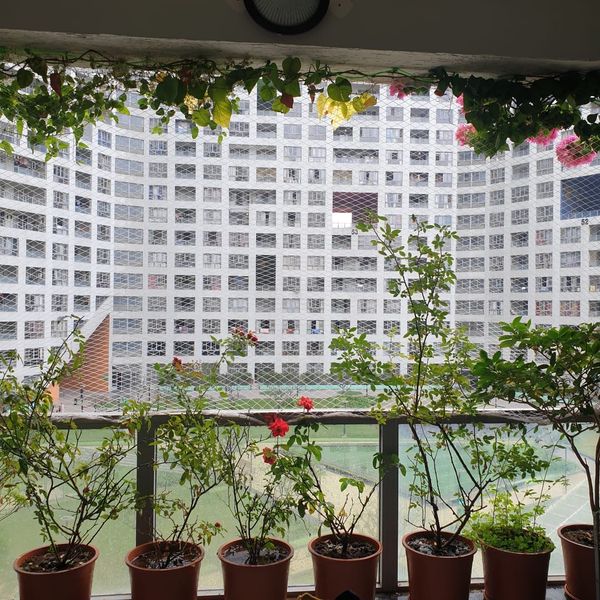 Single Room · Furnished · Apartment
