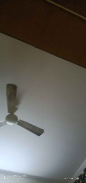 1RK · Furnished · Apartment