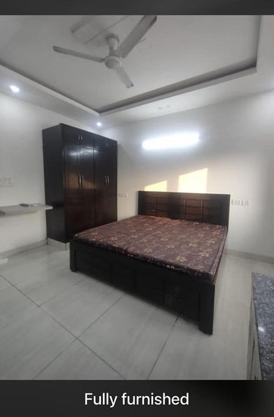 1RK · Furnished · Apartment