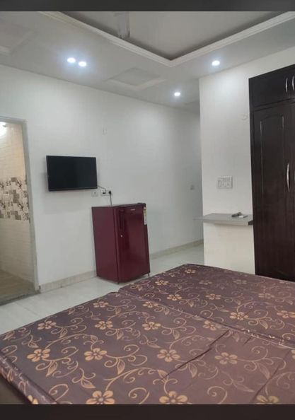 1RK · Furnished · Apartment