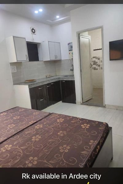 1RK · Furnished · Apartment