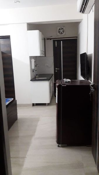 1RK · Furnished · Apartment