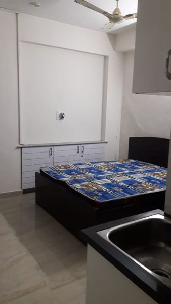 1RK · Furnished · Apartment