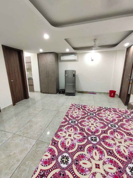 1RK · Furnished · Apartment