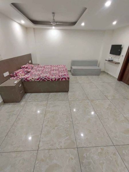 1RK · Furnished · Apartment
