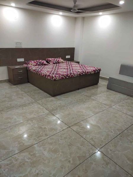 1RK · Furnished · Apartment