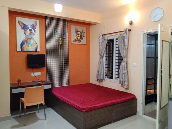 1RK · Furnished · Apartment