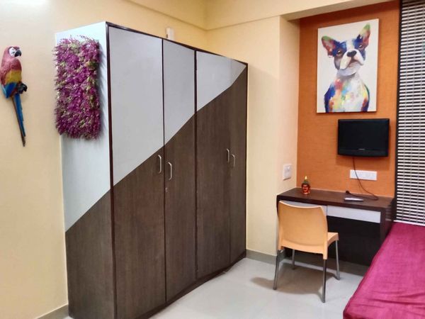 1RK · Furnished · Apartment