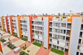 Single Room · Furnished · Apartment