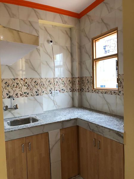1RK · Furnished · Apartment