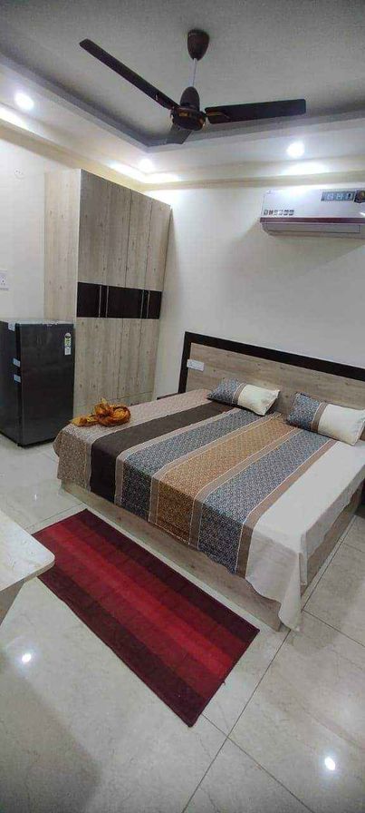 1RK · Furnished · Apartment