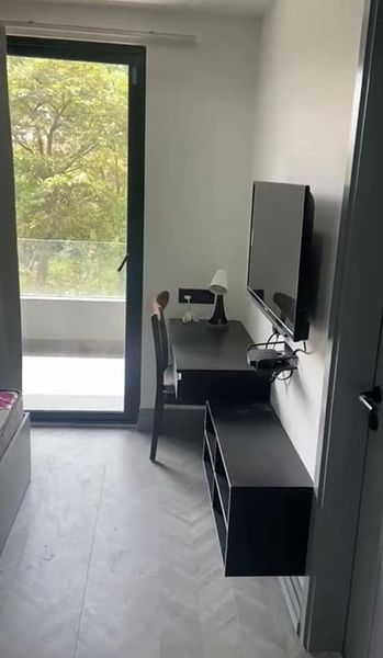 1RK · Furnished · Apartment