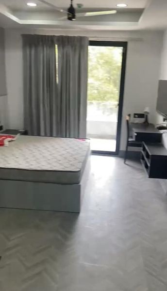 1RK · Furnished · Apartment