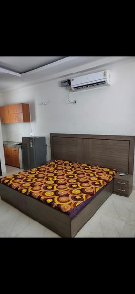 1RK · Furnished · Apartment