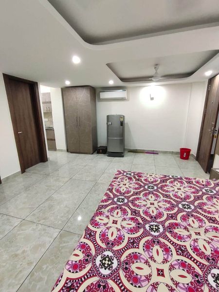 1RK · Furnished · Apartment