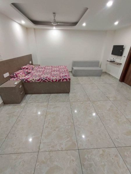 1RK · Furnished · Apartment