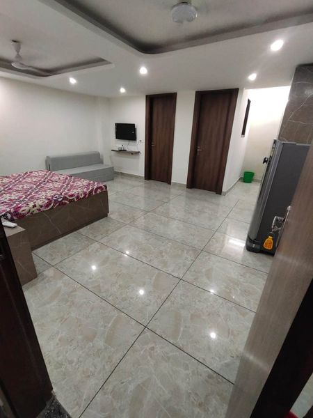 1RK · Furnished · Apartment
